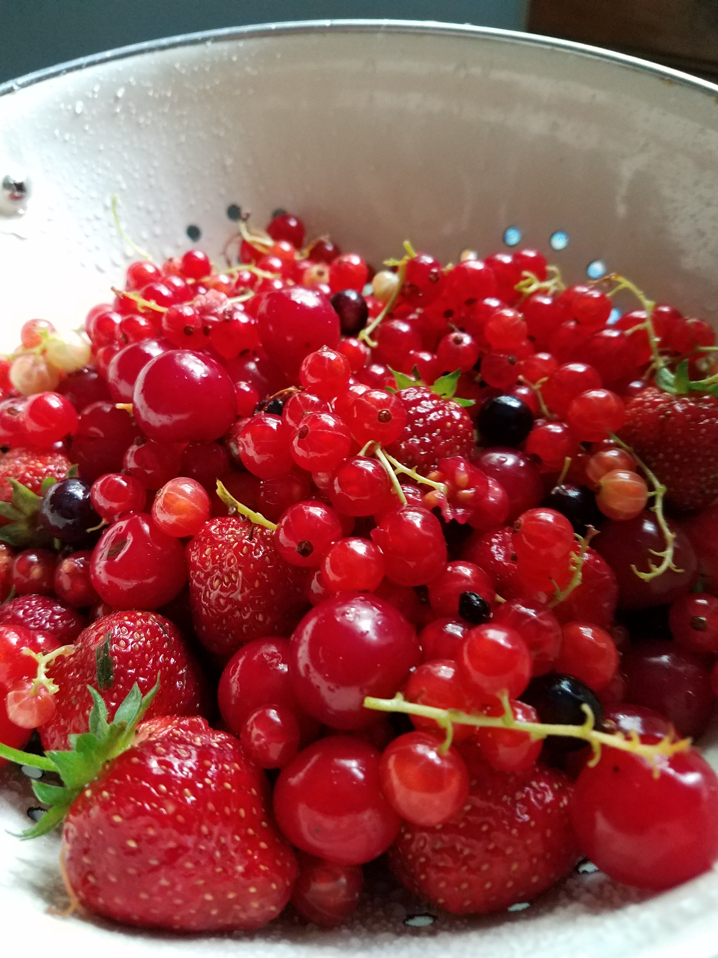 berries.jpg