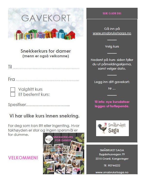 Gavekort - snekkerkurs for damer hos Småbruket Saga