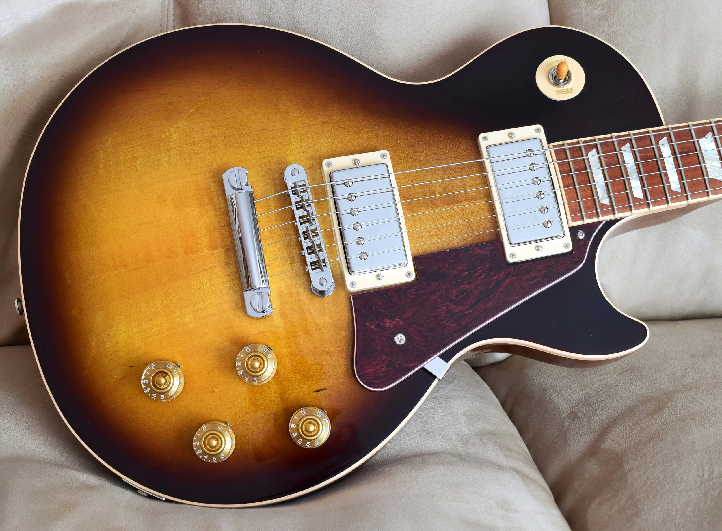 2014 Les Paul Standard7.JPG