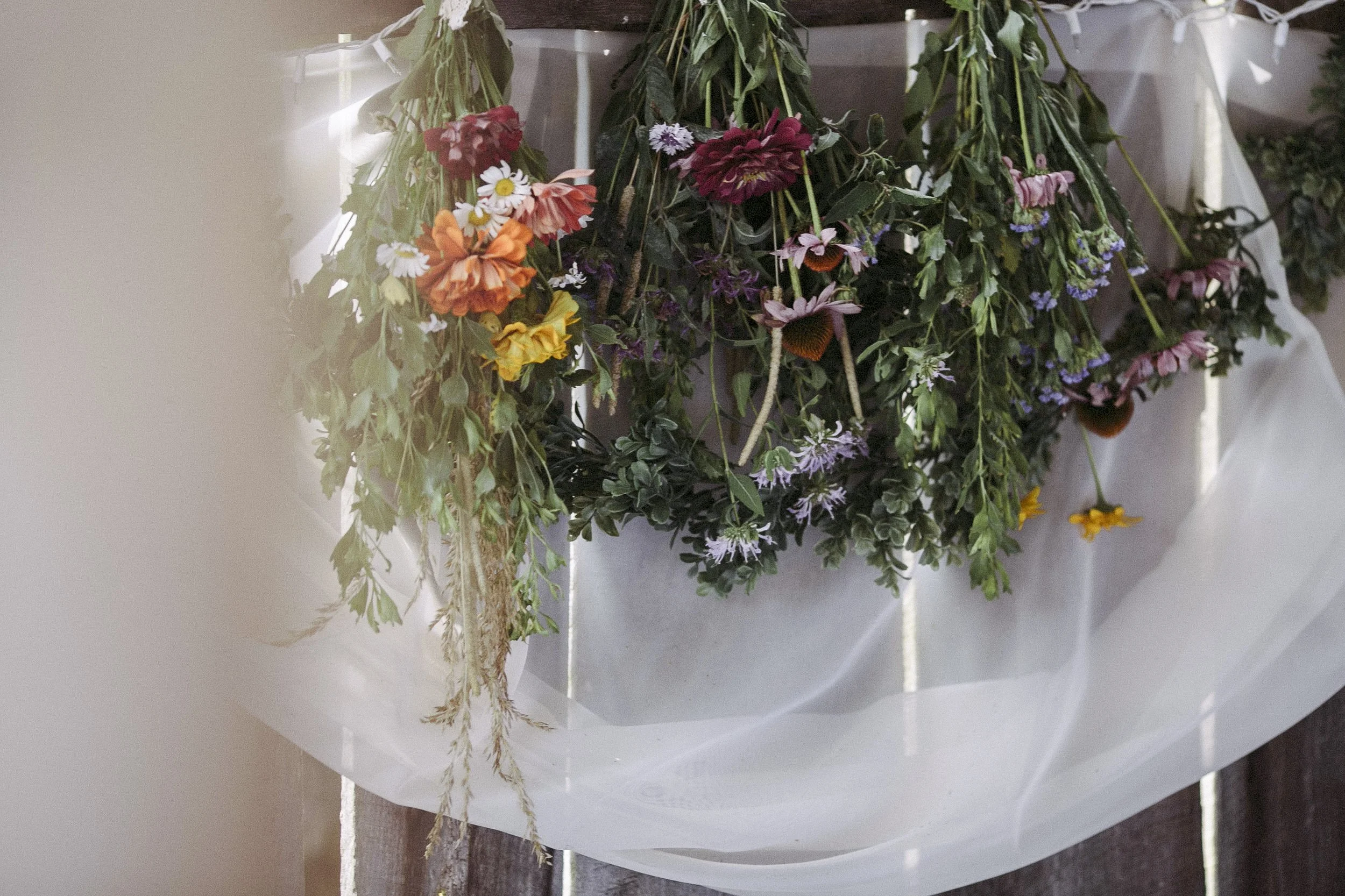 will_caroline_squarespace-2026-1836.jpg