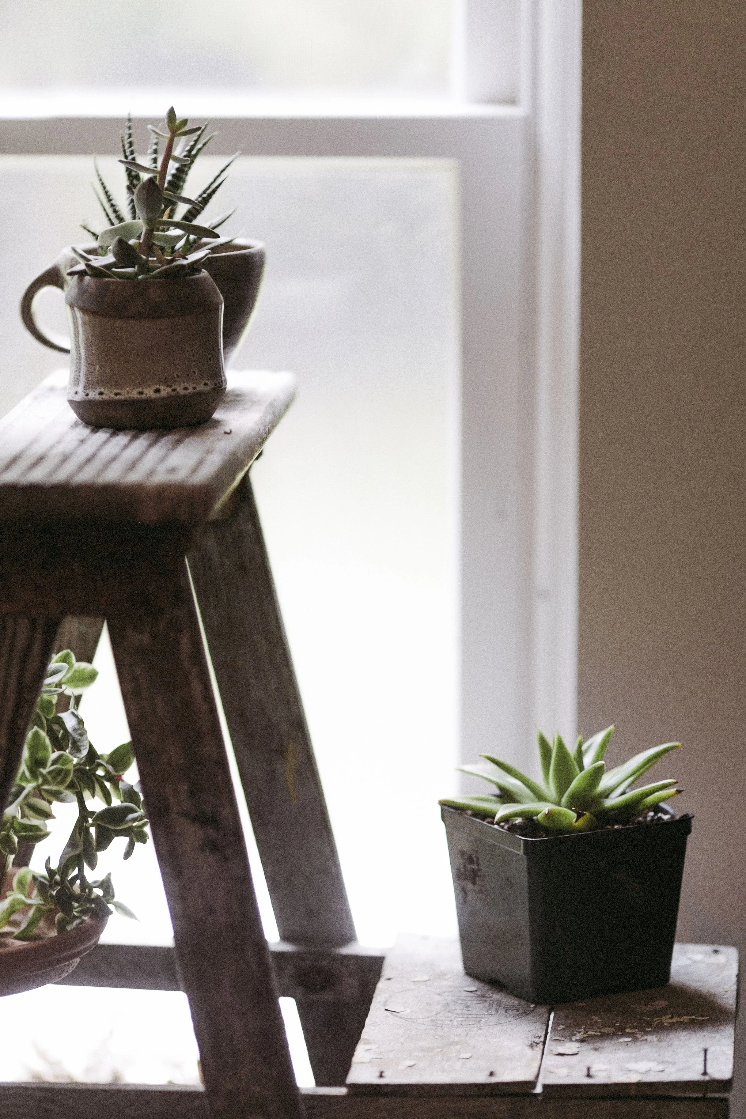 will_caroline_squarespace-2026-1270.jpg