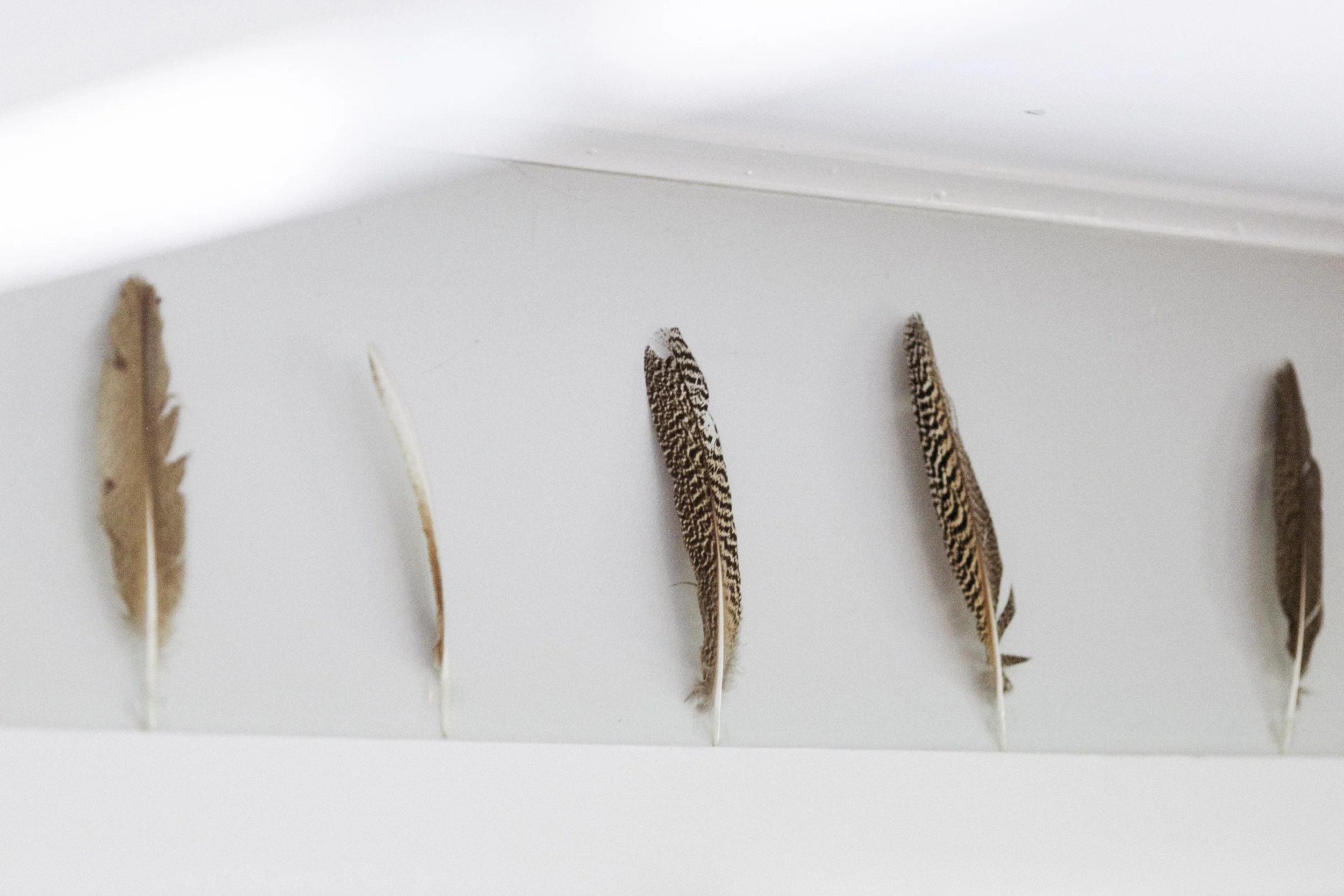 will_caroline_squarespace-2026-1357.jpg