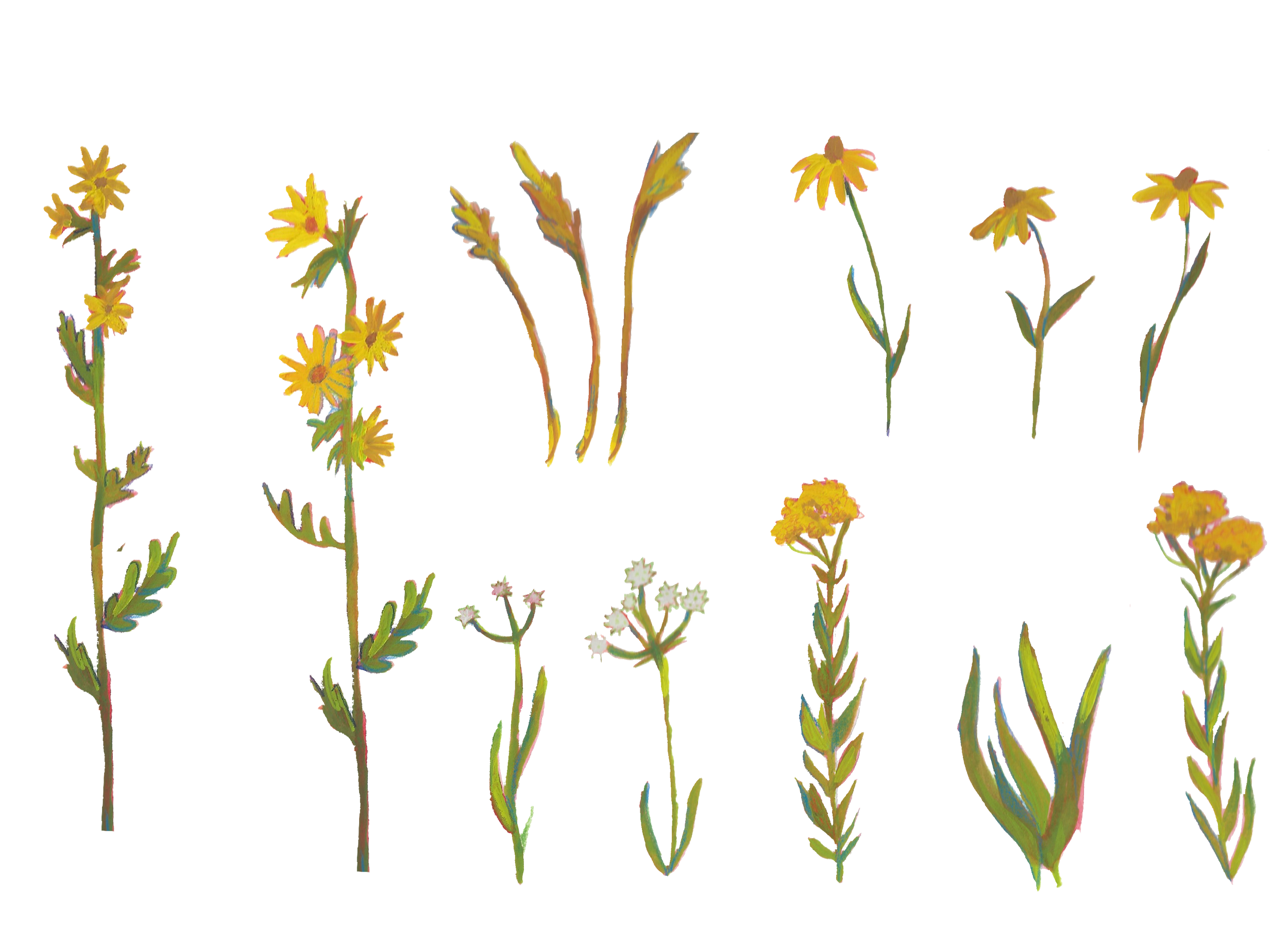 PEGGY_FLOWERS_PNG_4.png