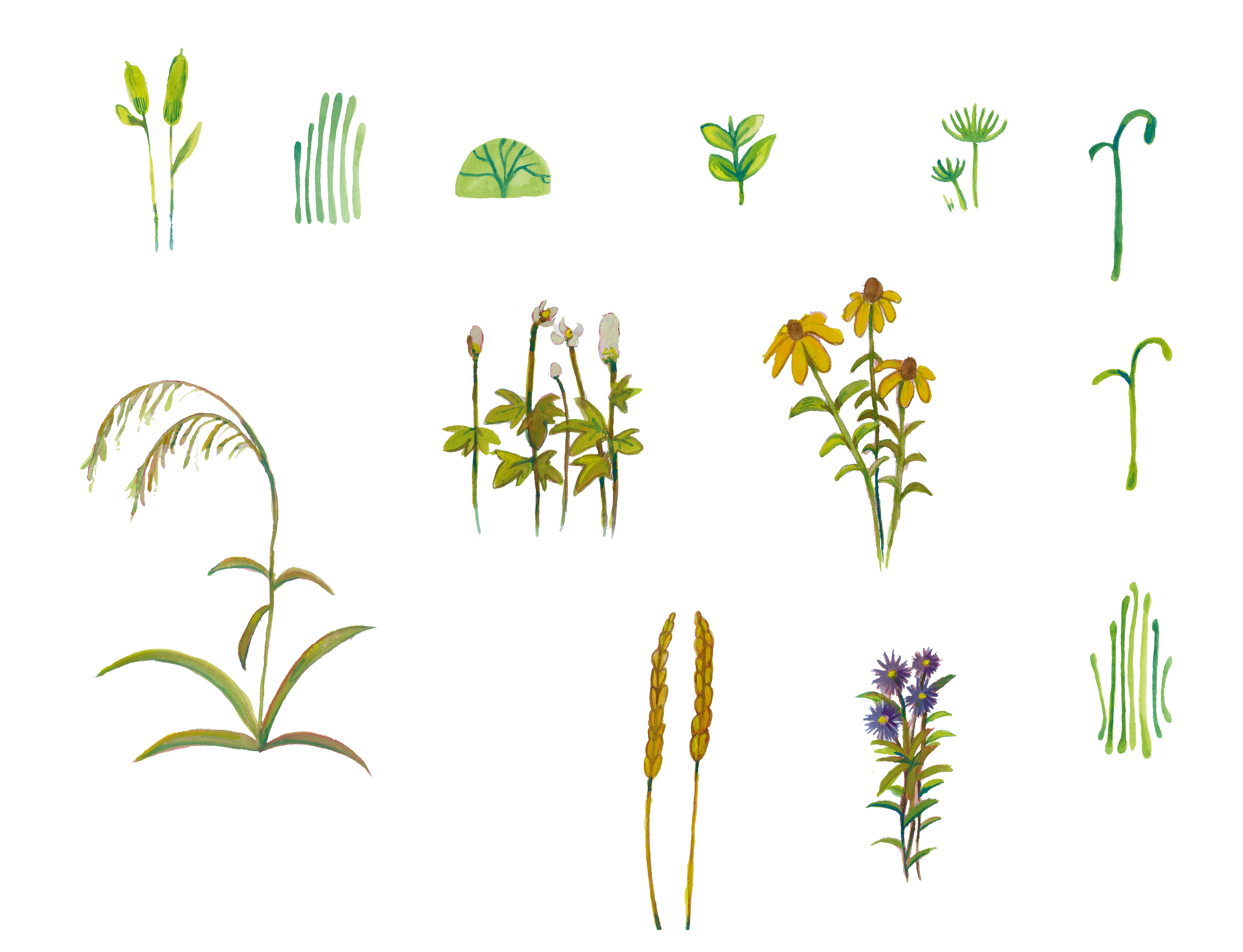 PEGGY_FLOWERS_PNG3.png