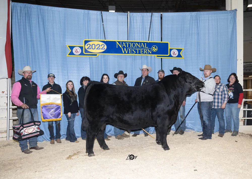 Crossbreeding for commercial cattlemen | DLCC Ranch — DLCC Ranch