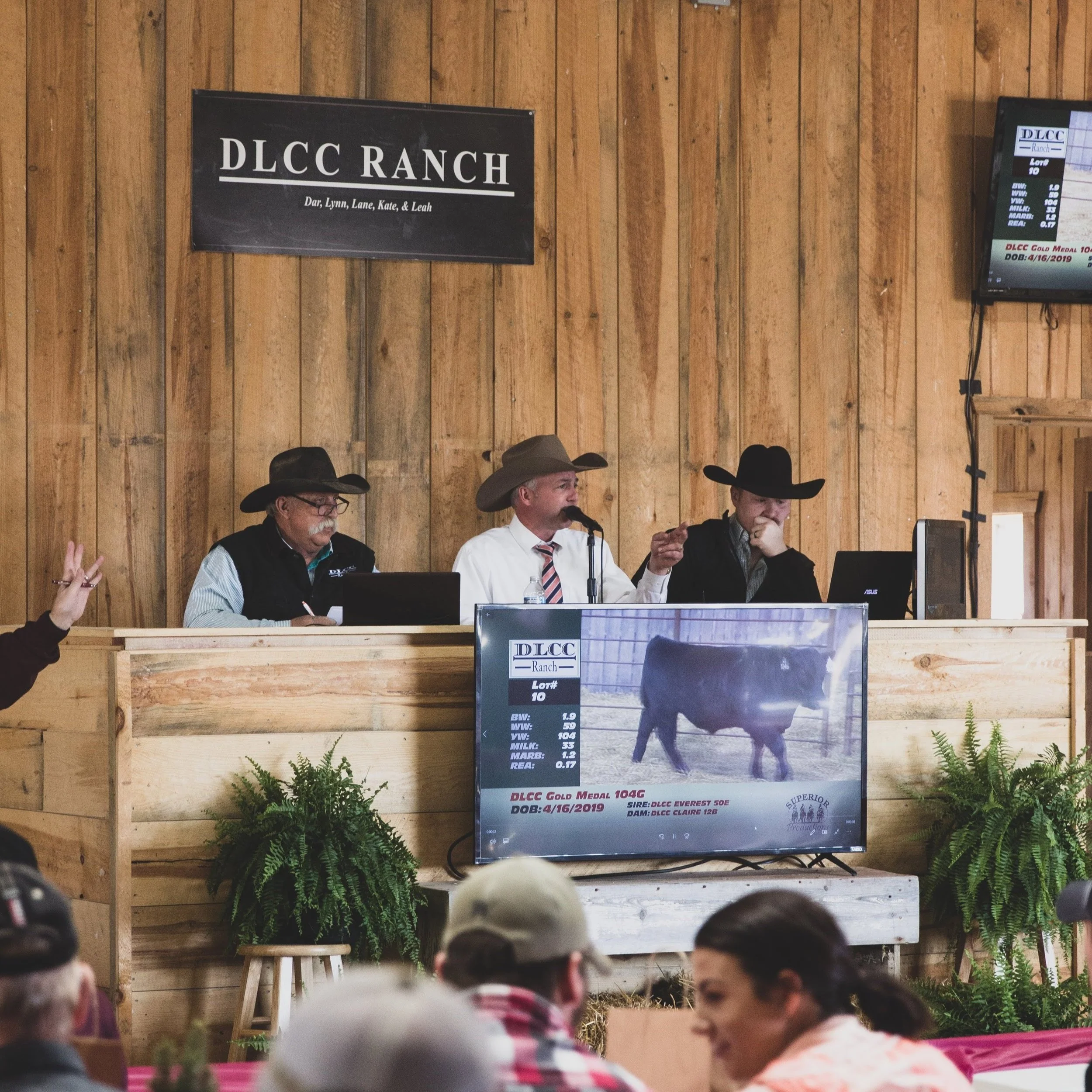 Dlcc Ranch Dlcc Ranch Mn – DLCC Ranch in Pierz, MN 56364 – PMVG