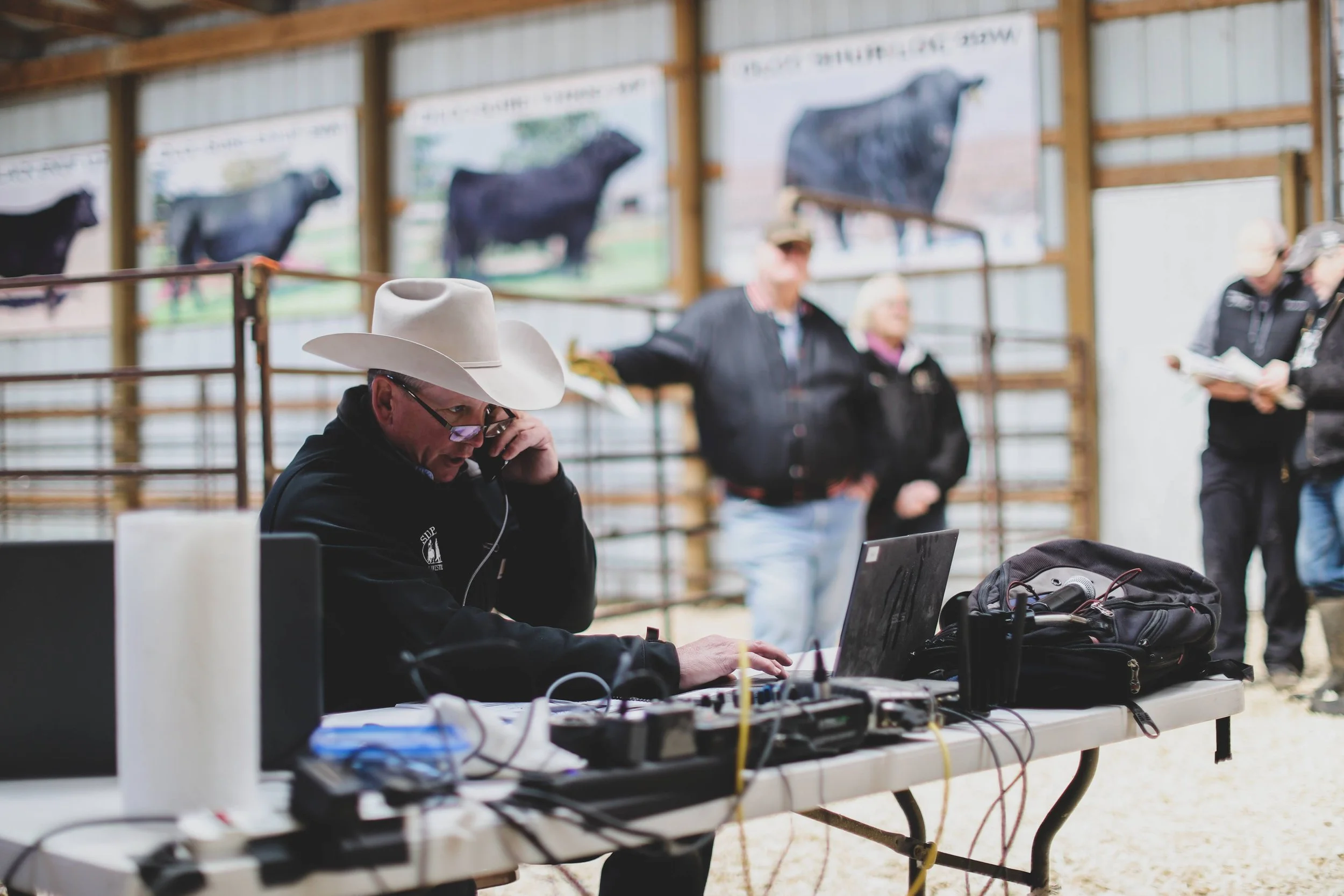 Dlcc Ranch Elite South Devon and Composite Genetics For Sale — DLCC Ranch