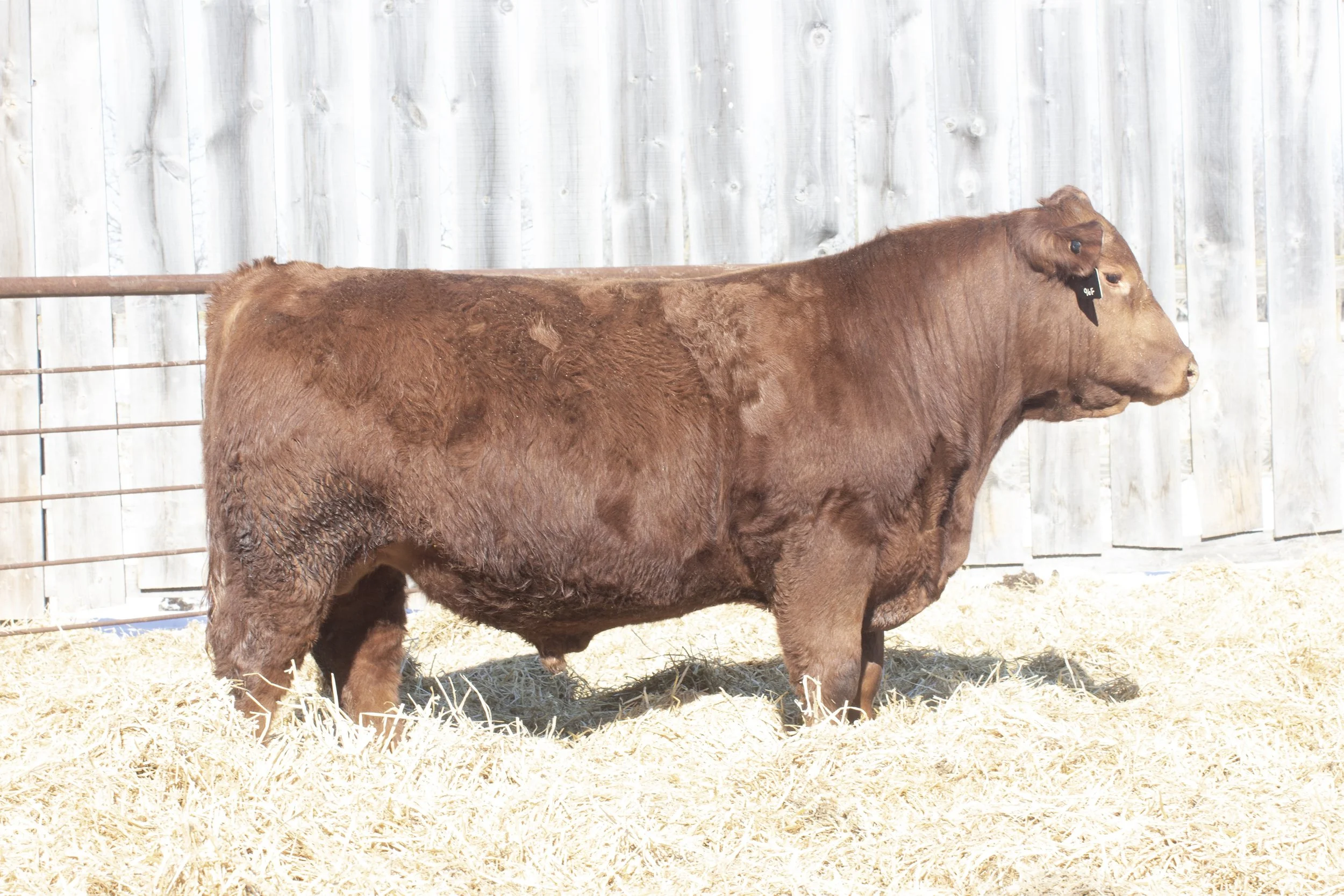 Lot 35 - DLCC NAVAJO 26N