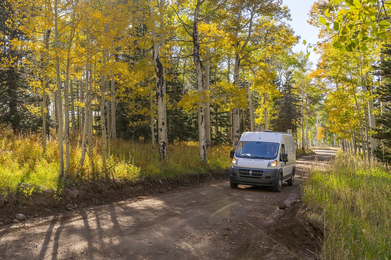 250924 - Van Essential Shoot - Web Res - _14.jpg