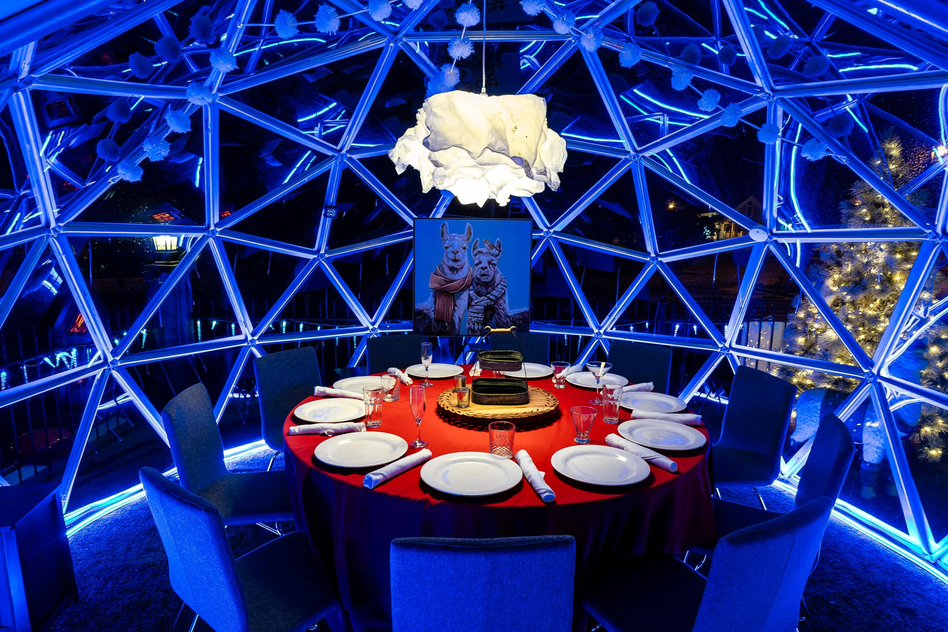 Dining igloos - commercial photography by Jacob Hawkins Photography