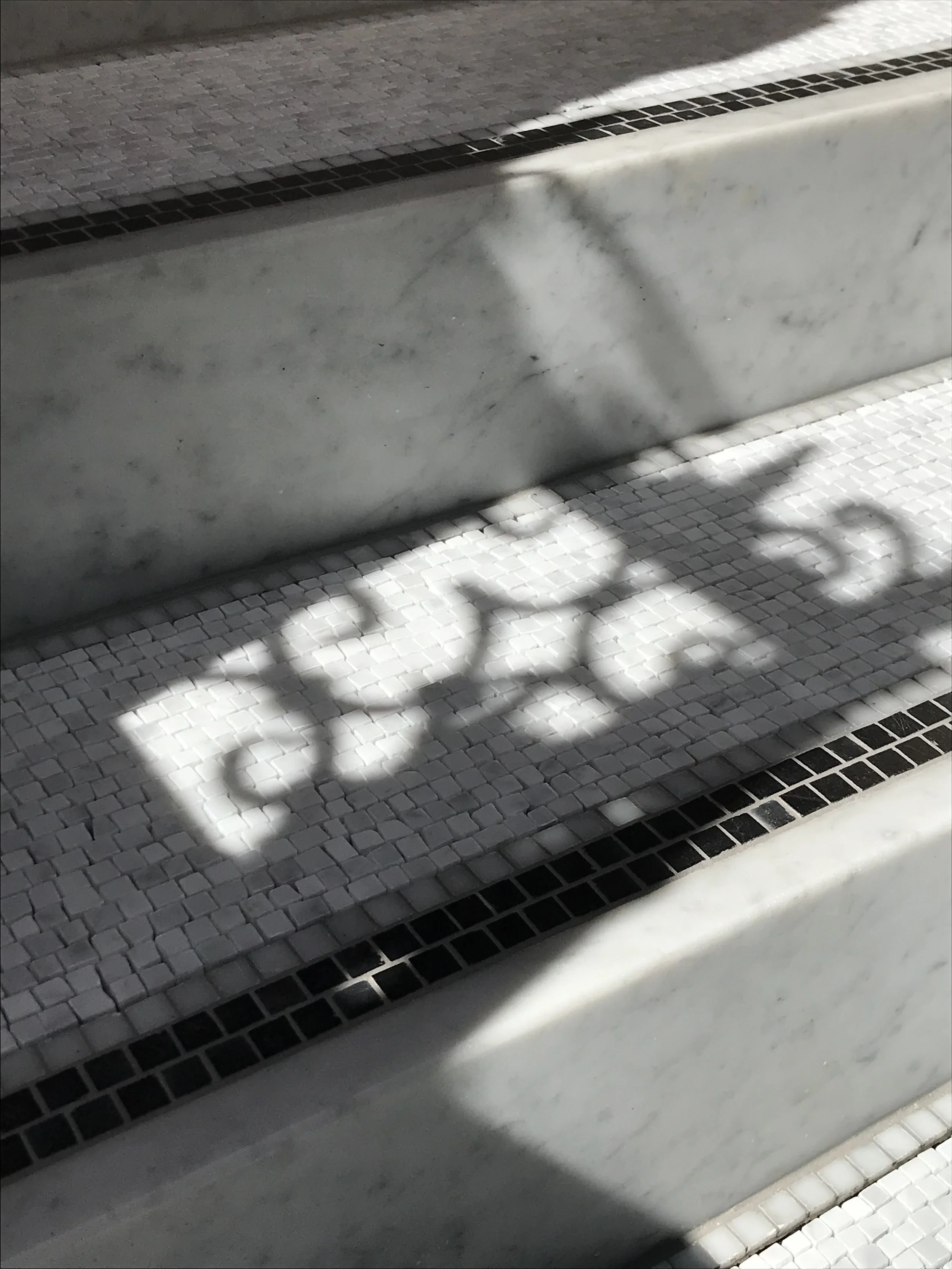 IMG_5341.jpeg