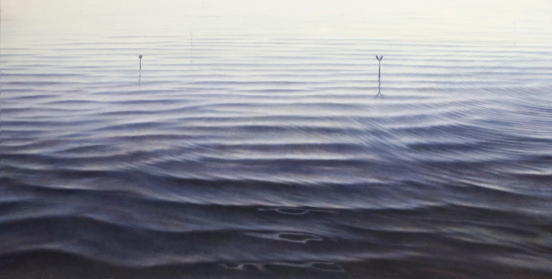Wavelet No.2