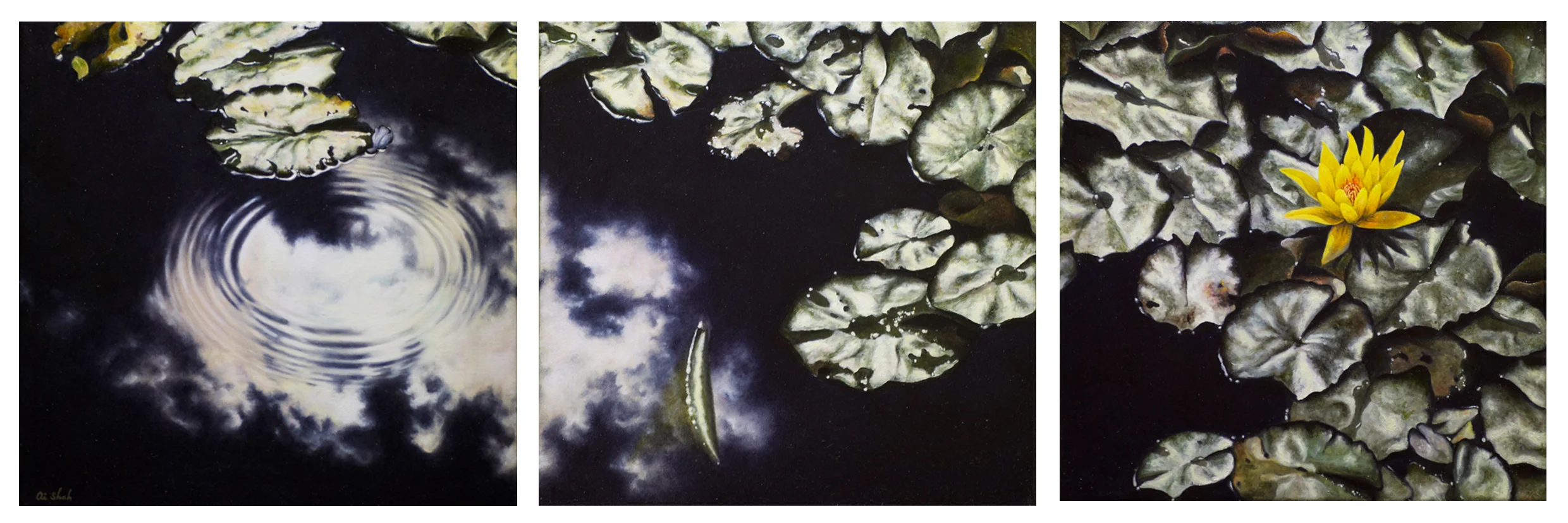 Blossom - Triptych