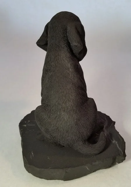 Shungite Big Dog Back.jpg