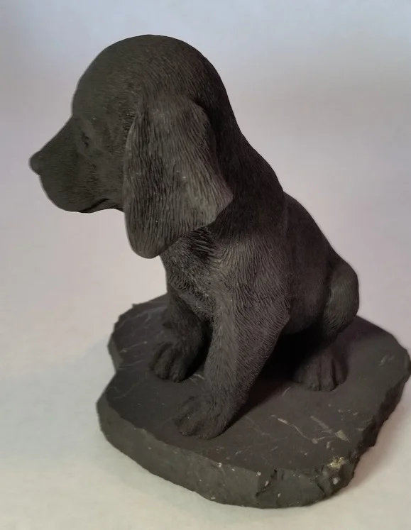 Shungite Big Dog Left.jpg