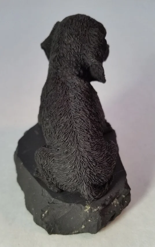Shungite Dachshund Back.jpg