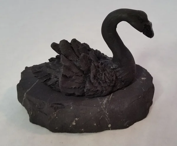 Swan Right.jpg