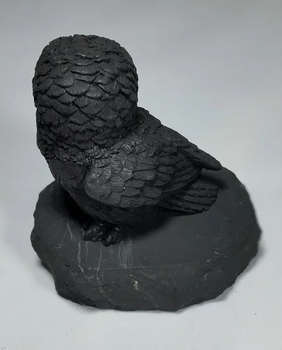 Shungite Snowy Owl Back.jpg