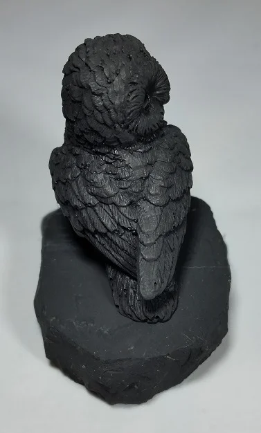 Shungite Snowy Owl Right.jpg