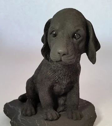 Shungite Big Dog Front.jpg