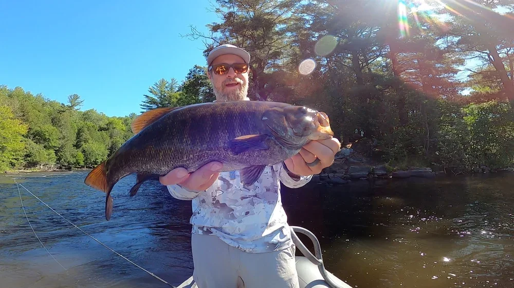 Smallmouth6.webp
