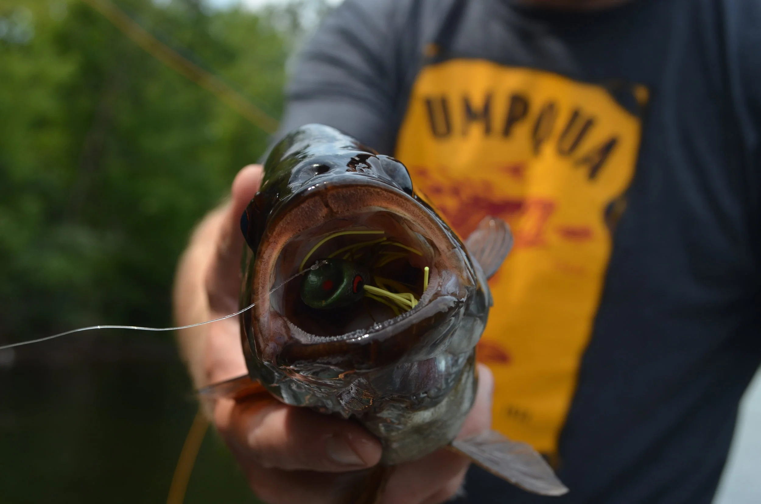 Smallmouth inhaling BoogleBugs