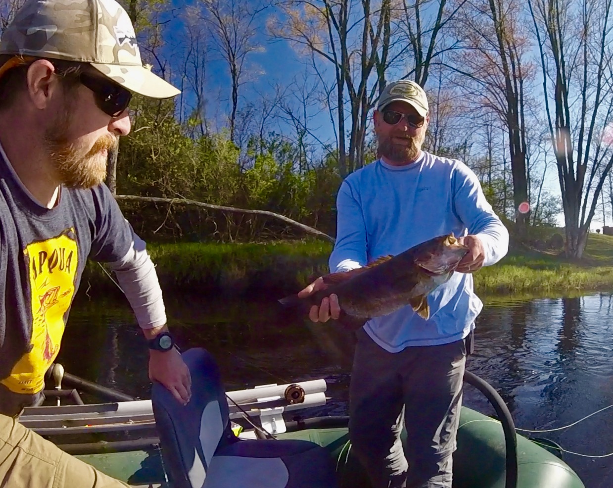Pre Spawn Smallmouth