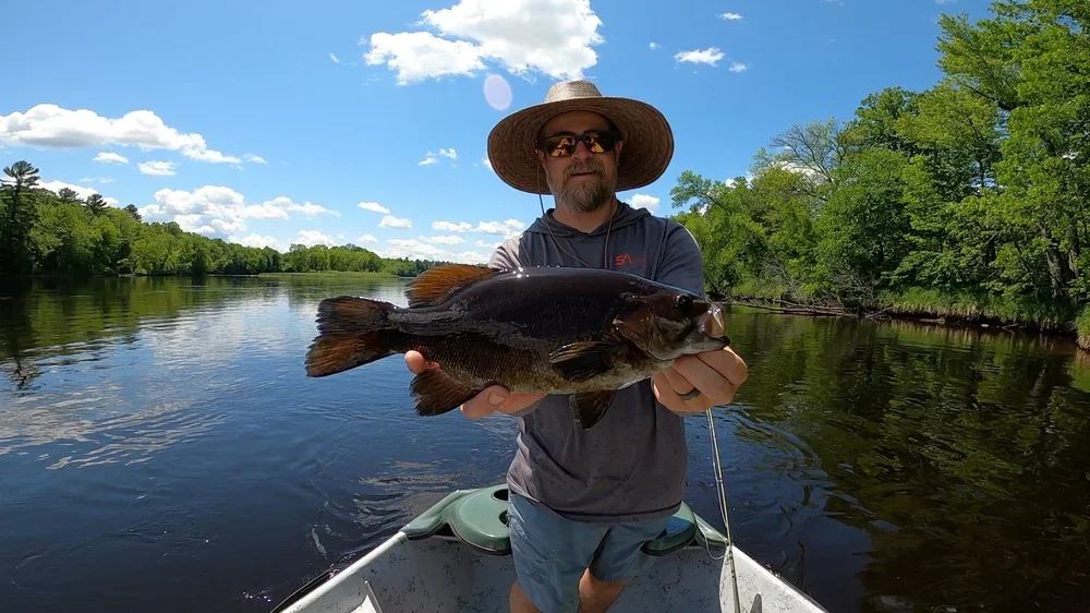 Smallmouth2.webp
