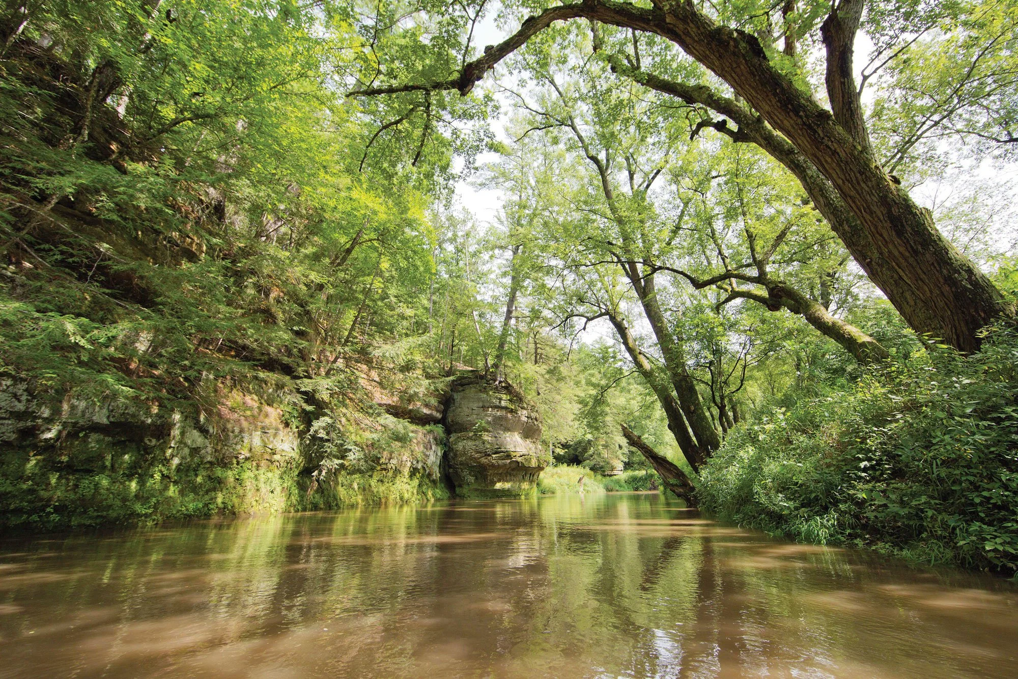 trout landscape 2.jpeg