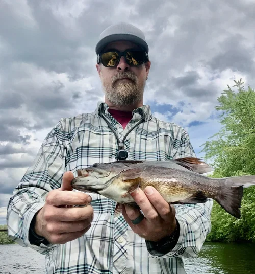 Smallmouth14.webp