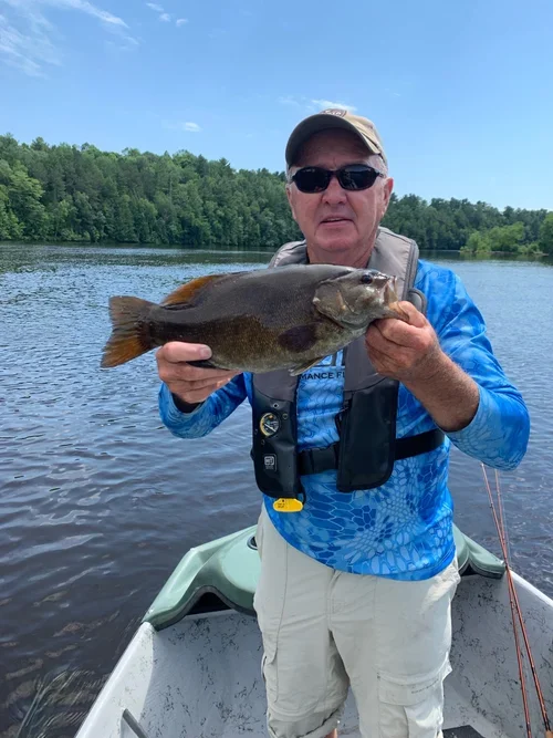 Smallmouth9.webp