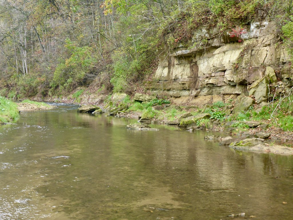 trout landscape.jpeg