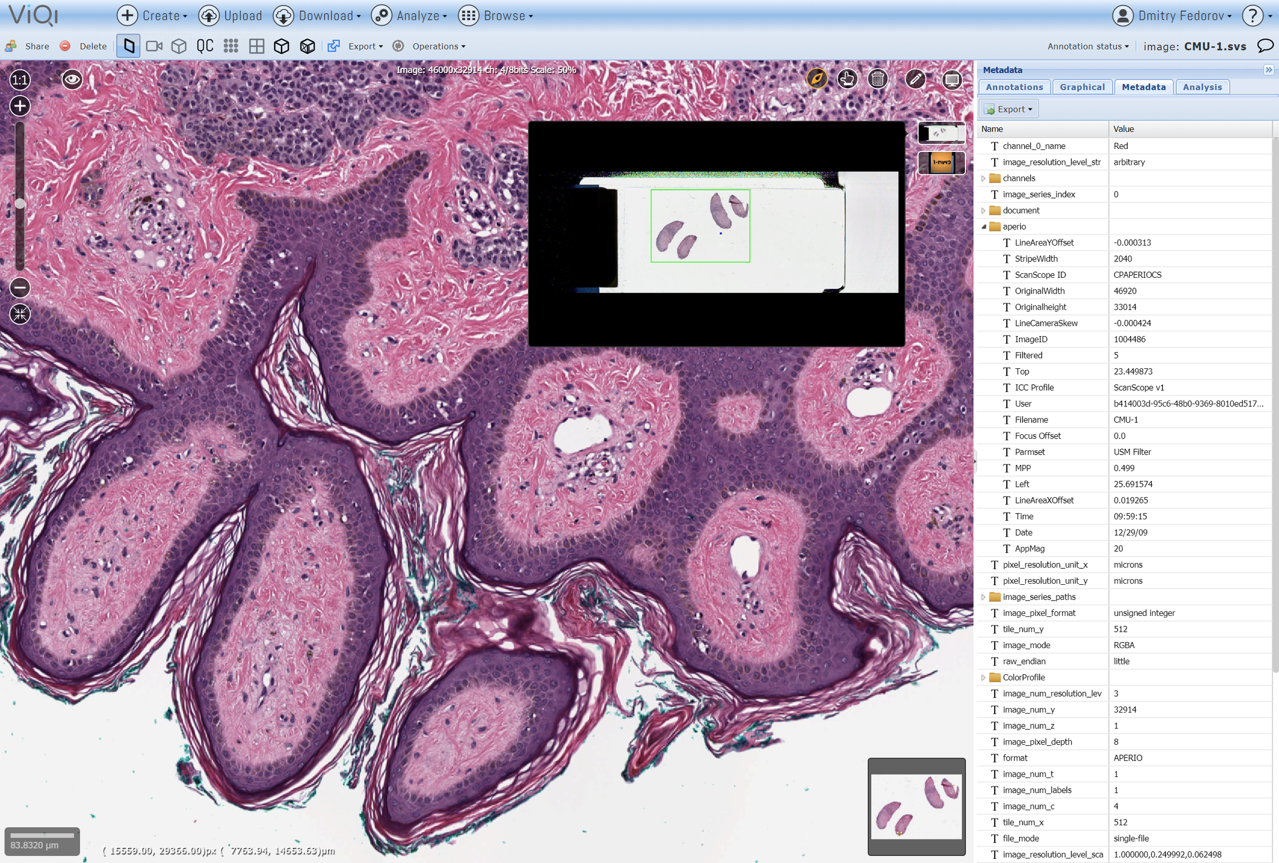 Great Histology support