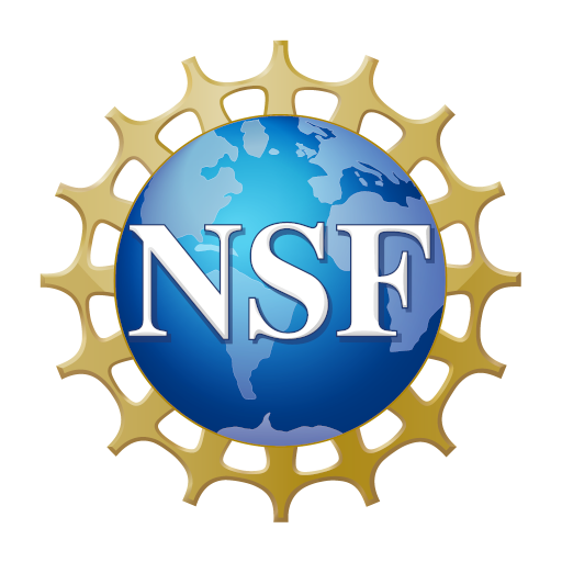 NSF_Official_logo_High_Res_1200ppi.png
