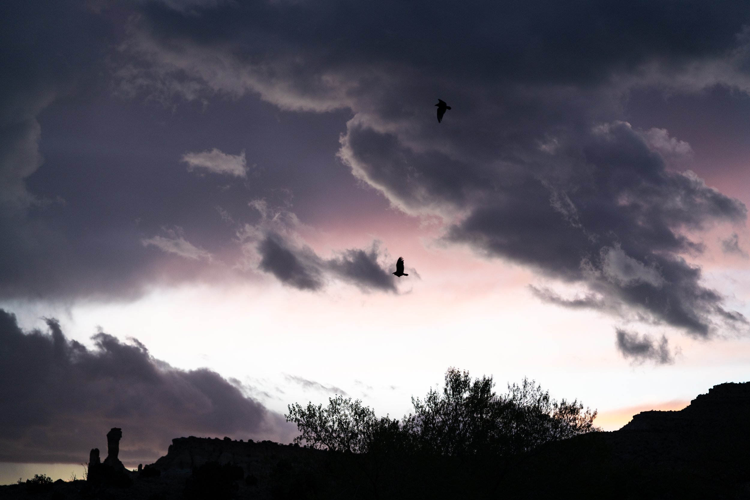 Ghost Ranch Finals6-42.jpg
