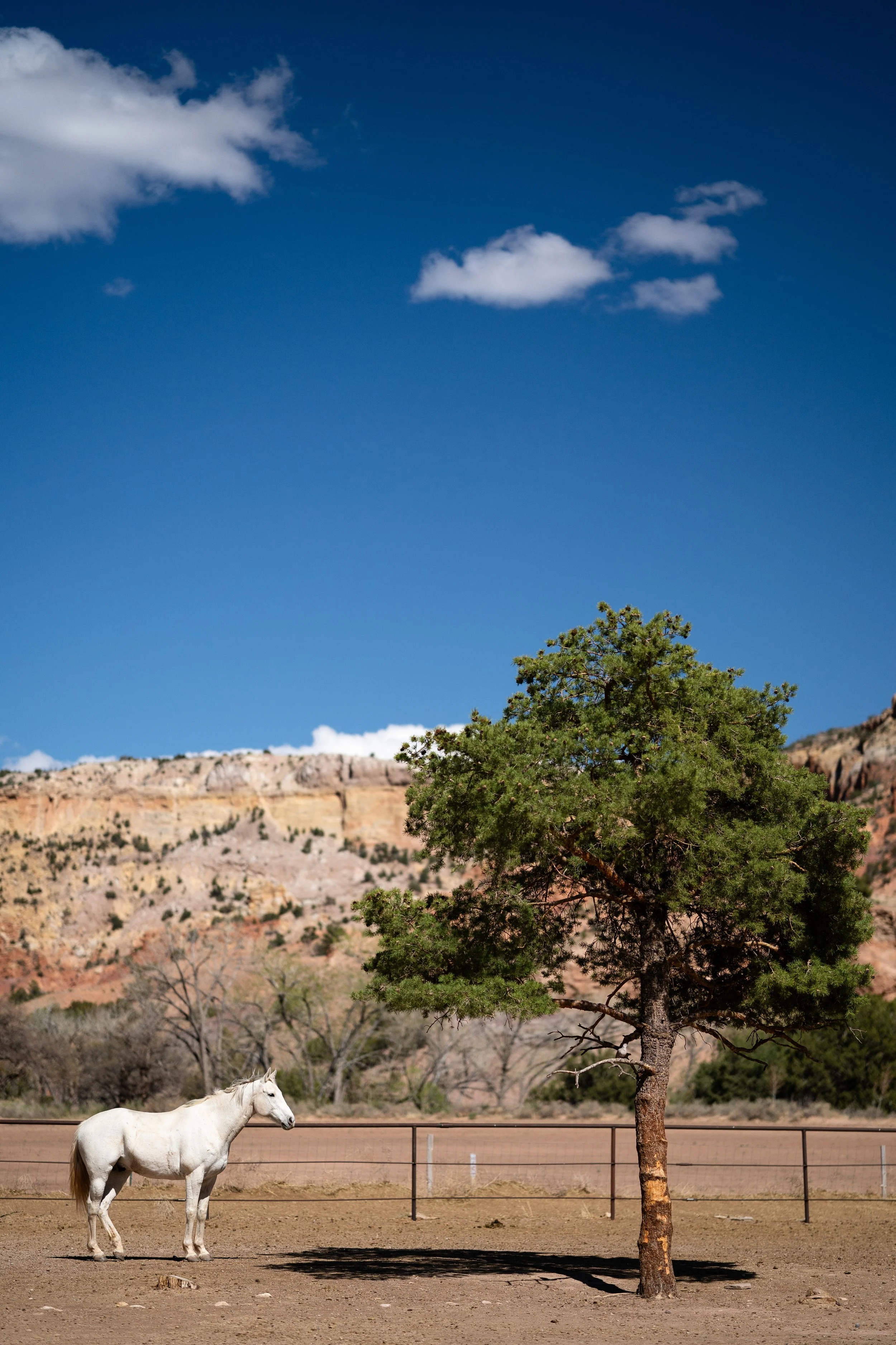 Ghost Ranch Finals2-49.jpg