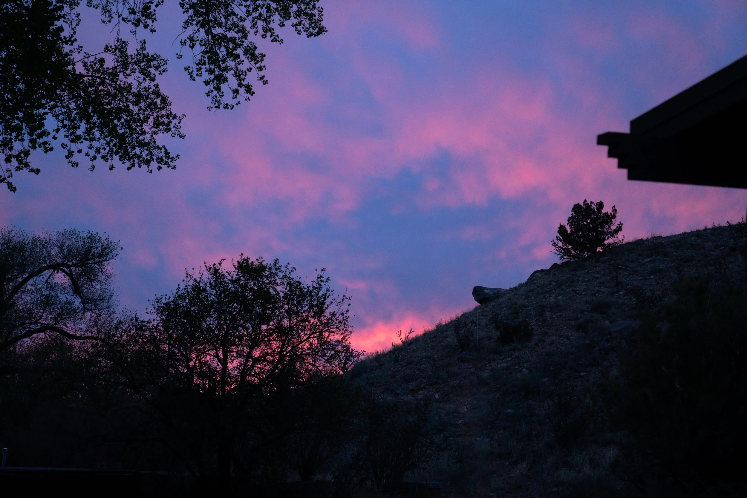 Ghost Ranch 2026-19.jpg