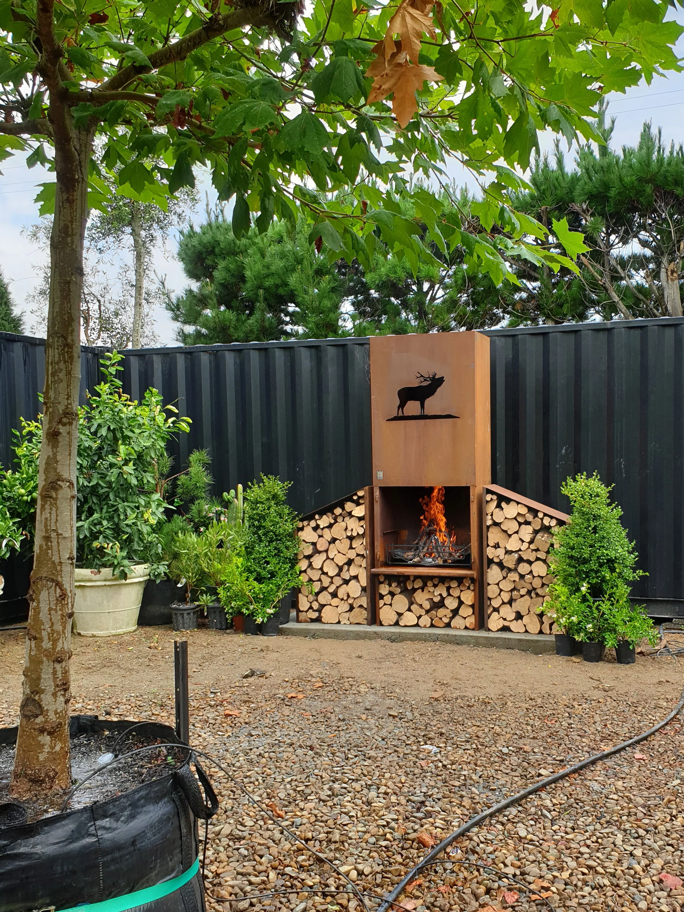Roaring Stag setup at Blackbridge Nursery, Wiri, Auckland
