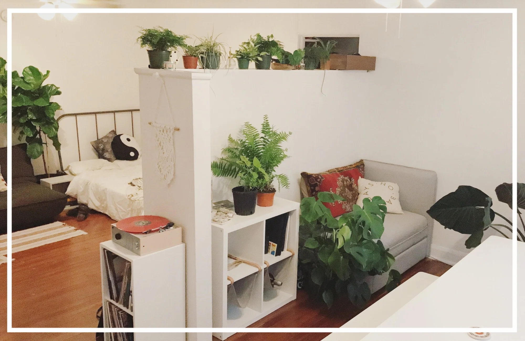 RIP White walls :) also RIP to a couple of those plants I've killed since this photo was taken.