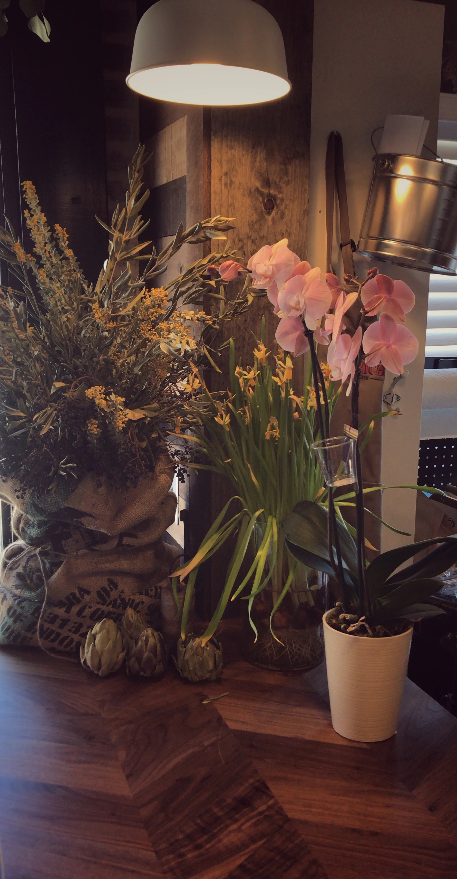 Find a cozy spot to settle in...