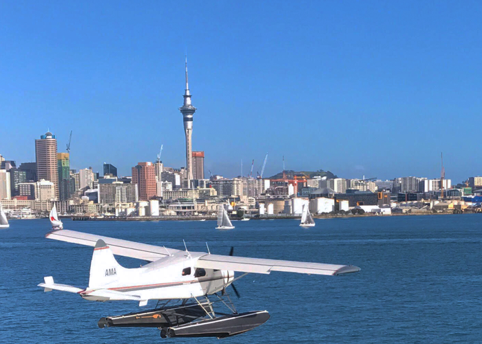rangitito-island-auckland-city-scenic-flight-with-auckland-seaplanes-experience-ideal-for-special-occassions-like-anniversary-or-birthday-2.png