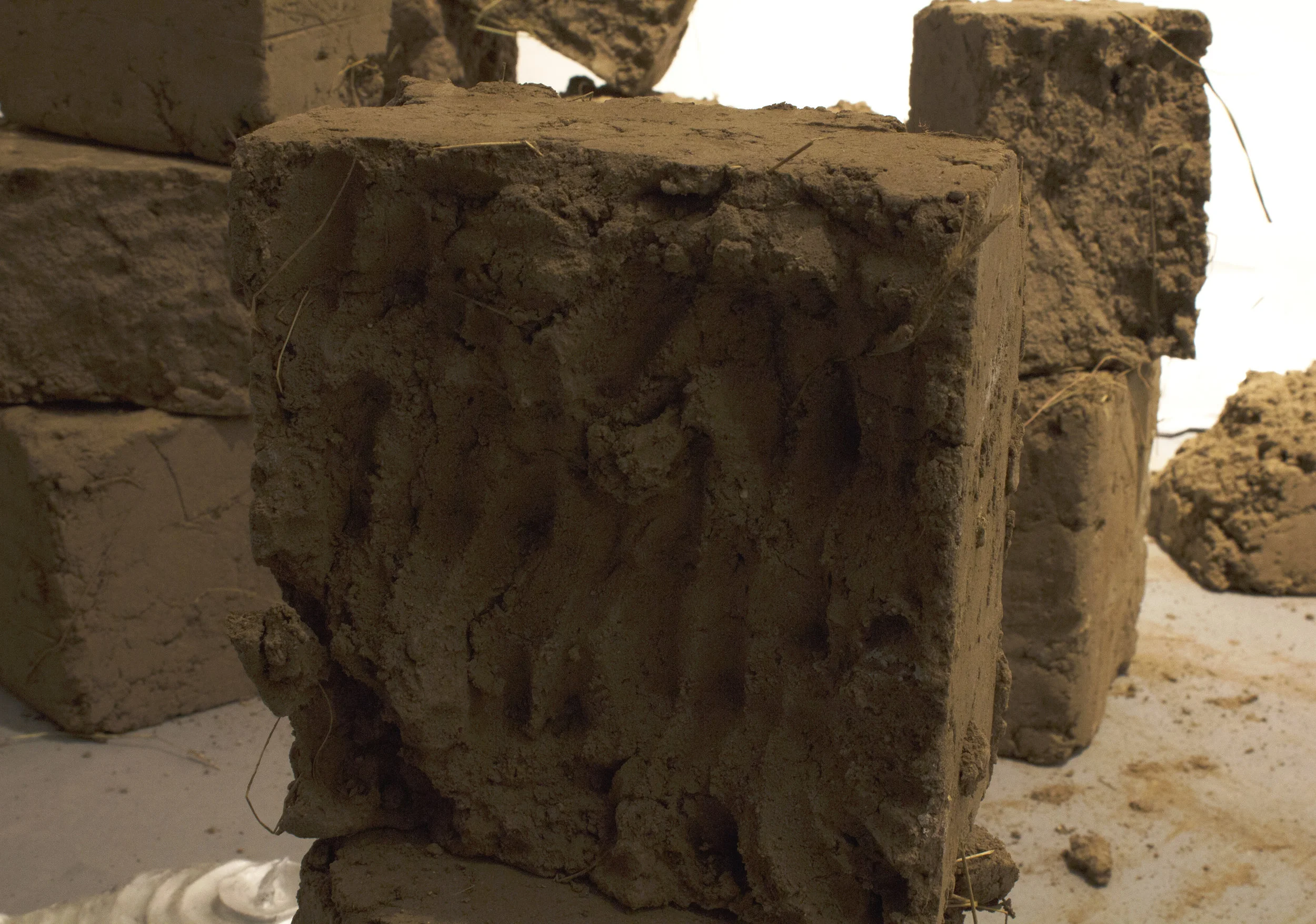 8 Jansen Howard- Baggage, Detail .jpg