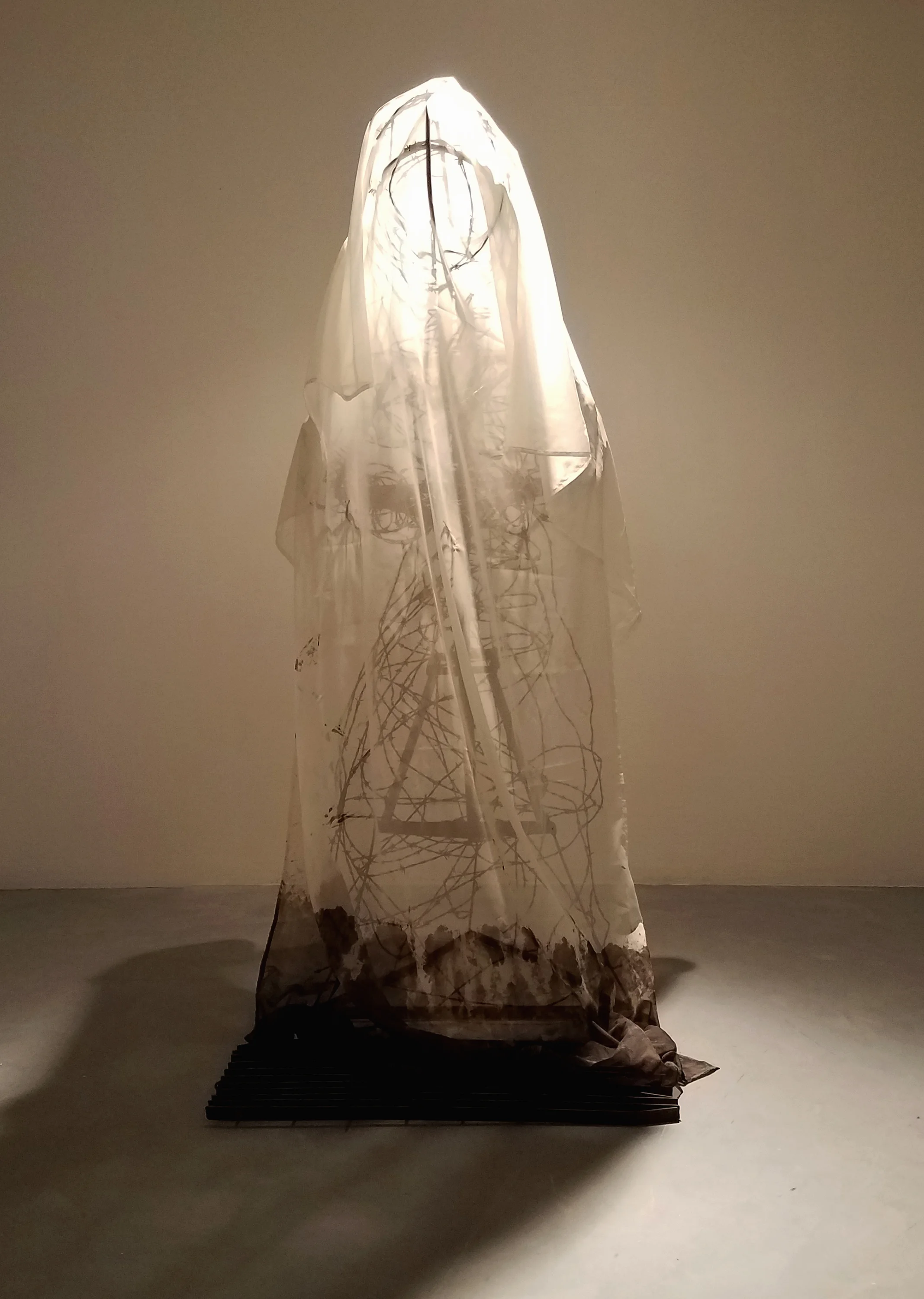   Chimera,&nbsp; 2016, barbed wire, angle iron, cloth, stain 