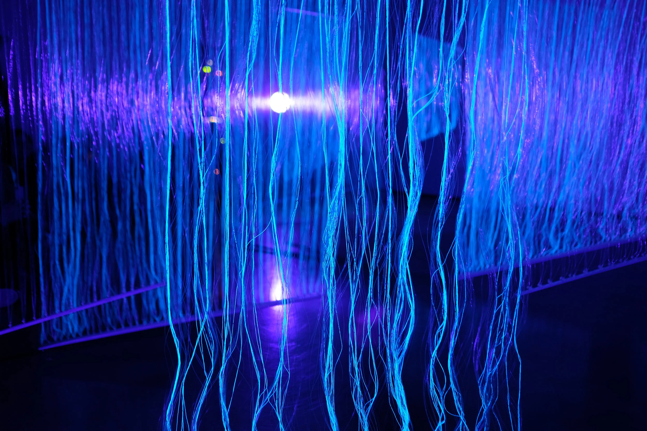 Tunnel Visopn Detail3.jpg