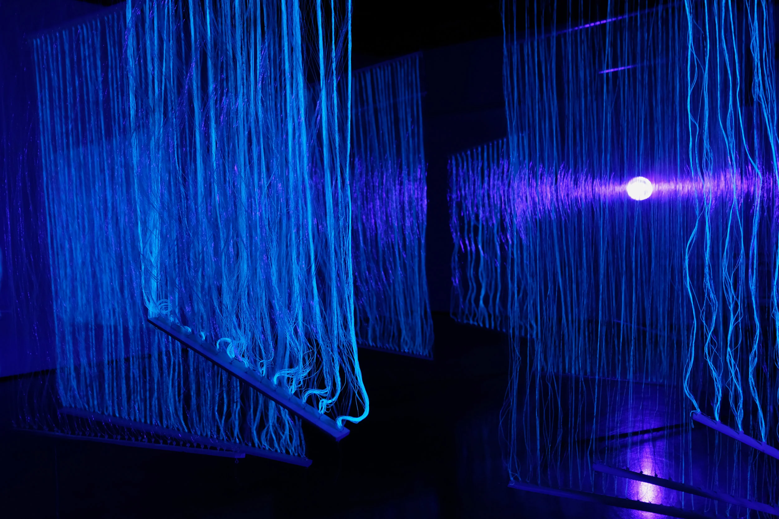 tunnel vision detail5.jpg