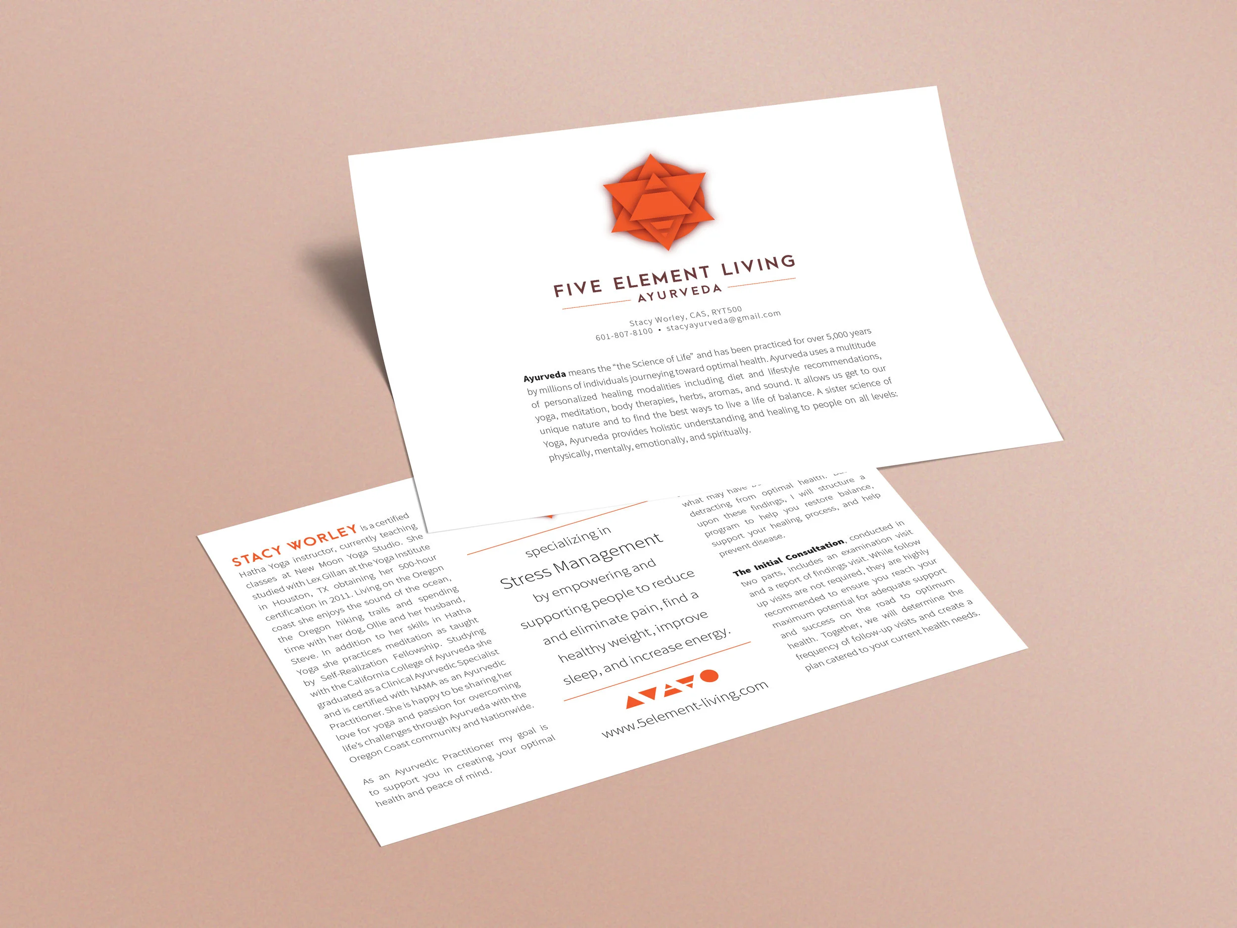 5 Elements Flyer Mockup2.jpg