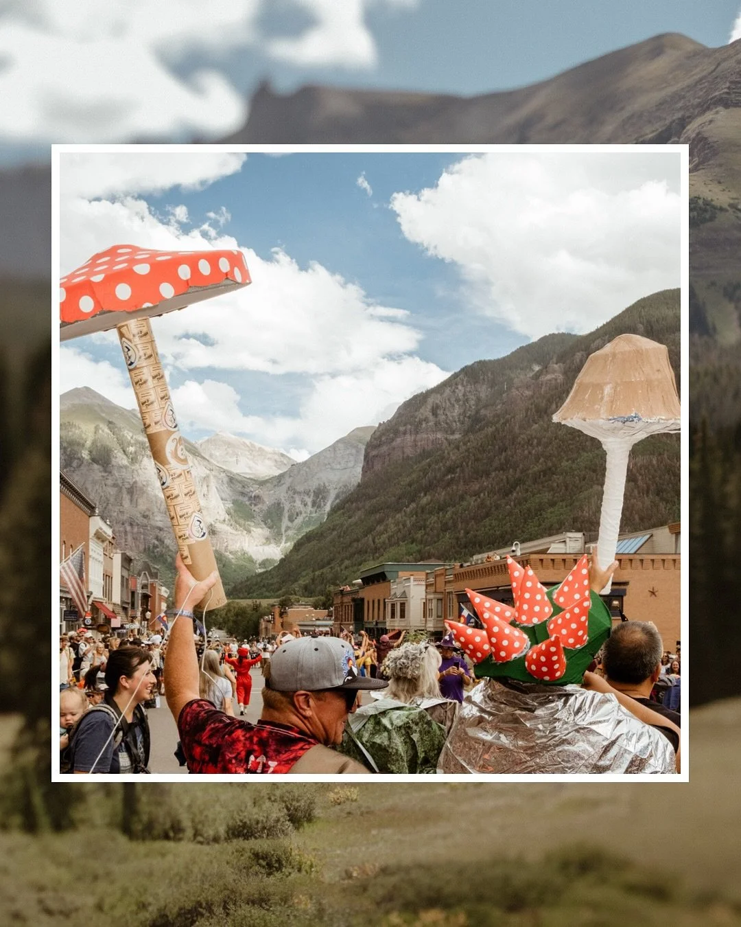 Scenes from @telluridemushroomfest 2024. ✨🍄⛰️Who is going this year?