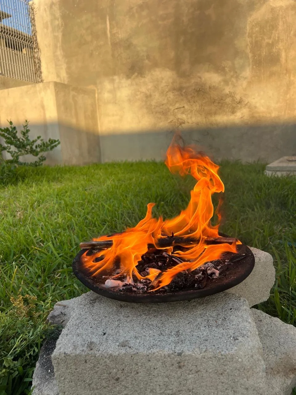 How We Show Up When Everything Feels Like Too Much