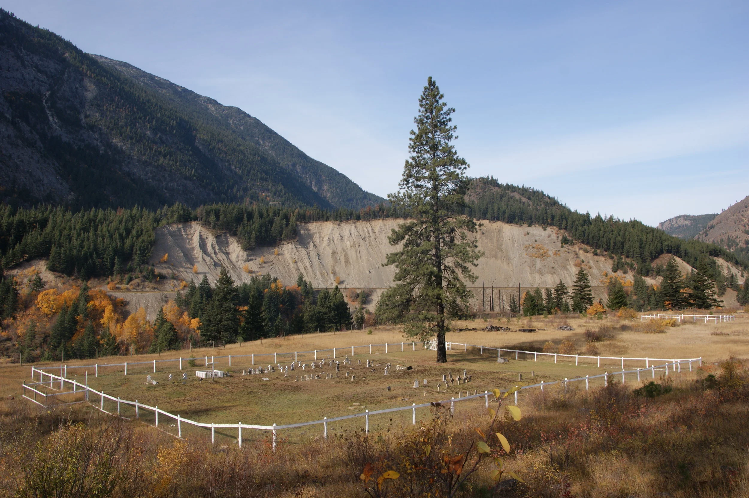 White Fencing