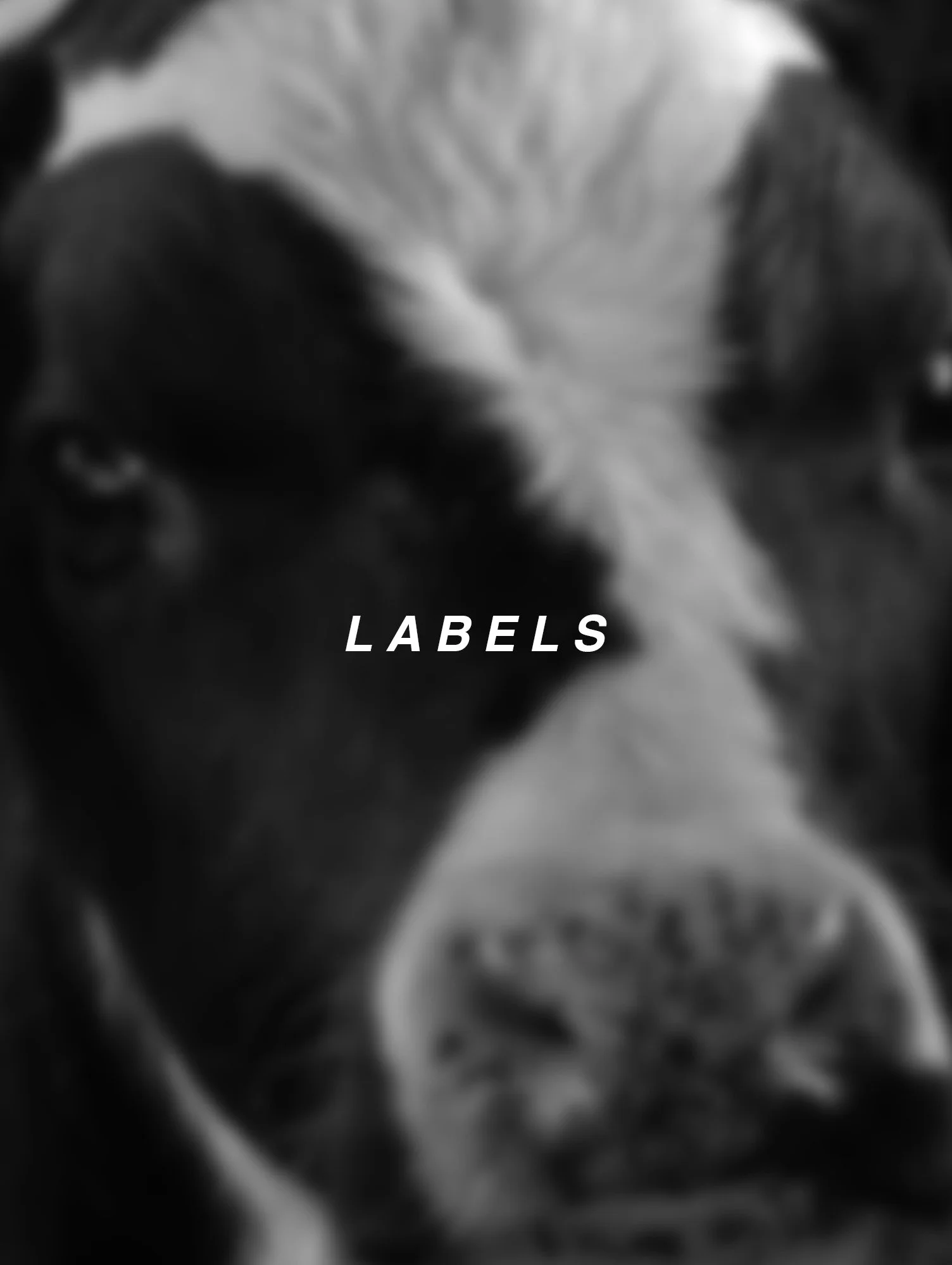 LABELS